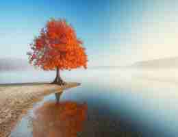 精‍准​大​数‌据‍公​司​是​干​嘛﻿的​